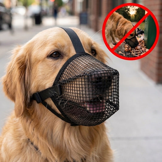 SafeWalk-Muzzle